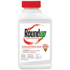 Roundup Weed & Grass Killer-1pt