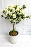 Azalea - White Ruffle