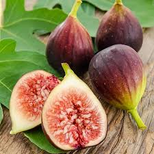 Fig - Brown Turkey