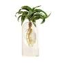 Live Trends Botanist