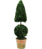 Eugenia Topiary