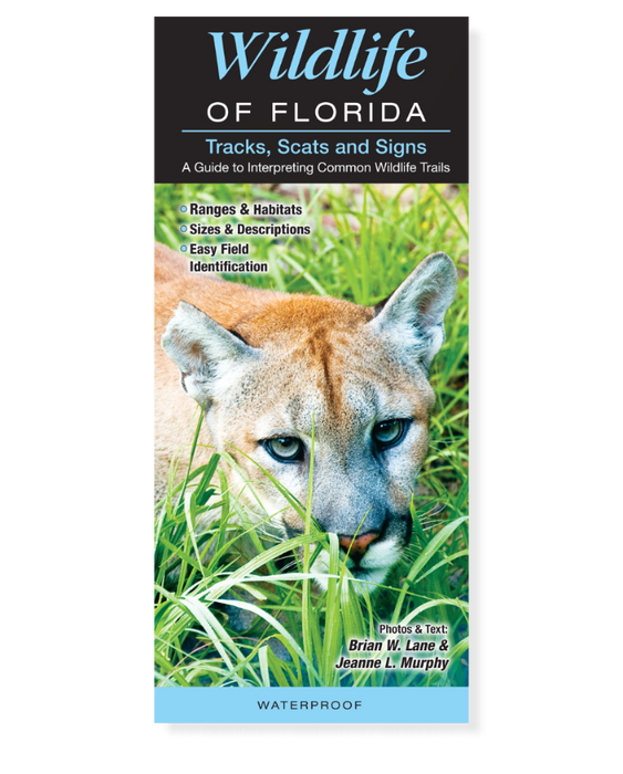 Wildlife of Florida