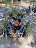 4 Colorful Little Pots With Plants