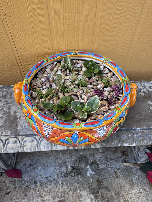 Talavera Succulents Planter
