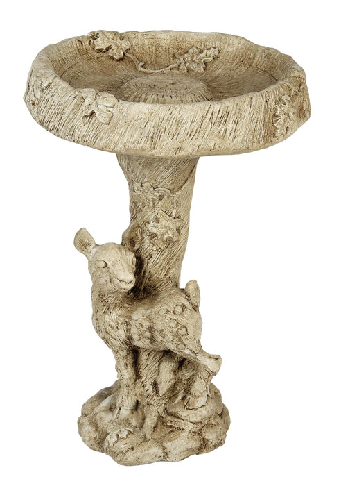 Birdbath - Fawn
