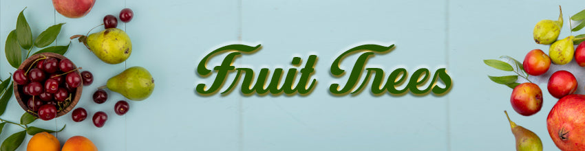 Fruit Trees