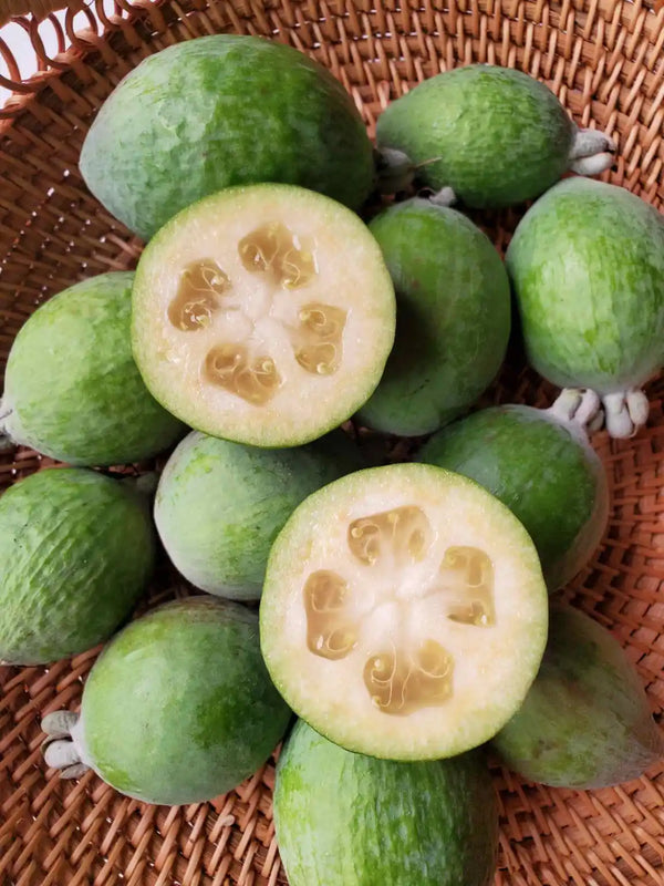 Guava - Pineapple Feijoa