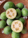 Guava - Pineapple Feijoa