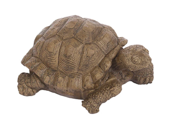 Statue - Junior Medium Box Turtle