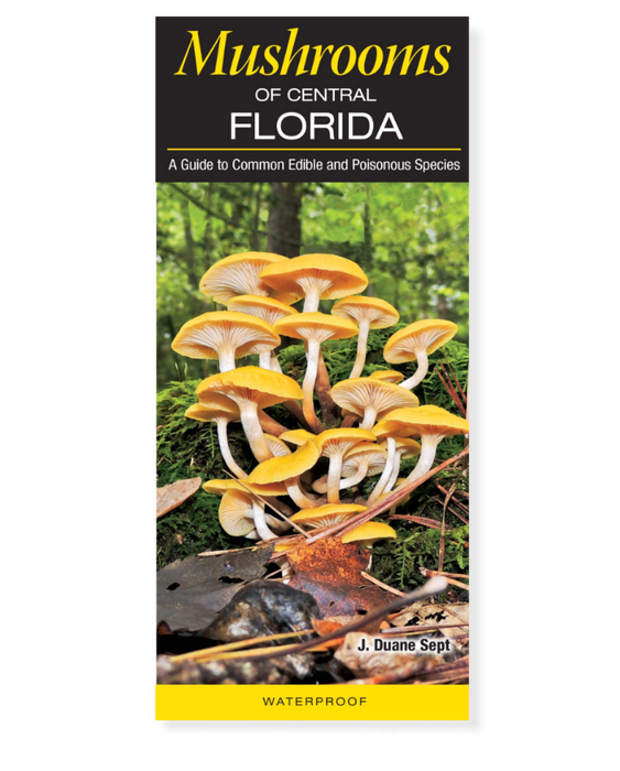 Mushrooms of Central Florida