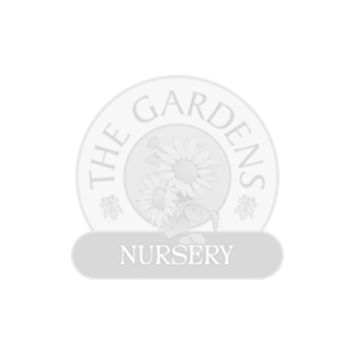 45 Mil EPDM Boxed Liner 20ft x 25ft