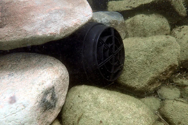 If desired, use rocks or other materials to disguise the Pond Powerhead.