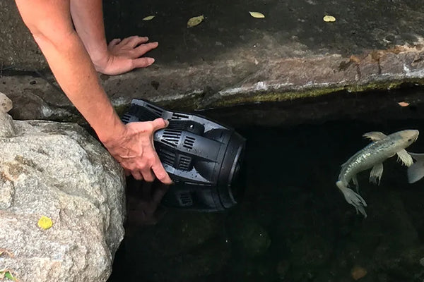 Set the Pond Powerhead in the desired area of the pond or water garden.