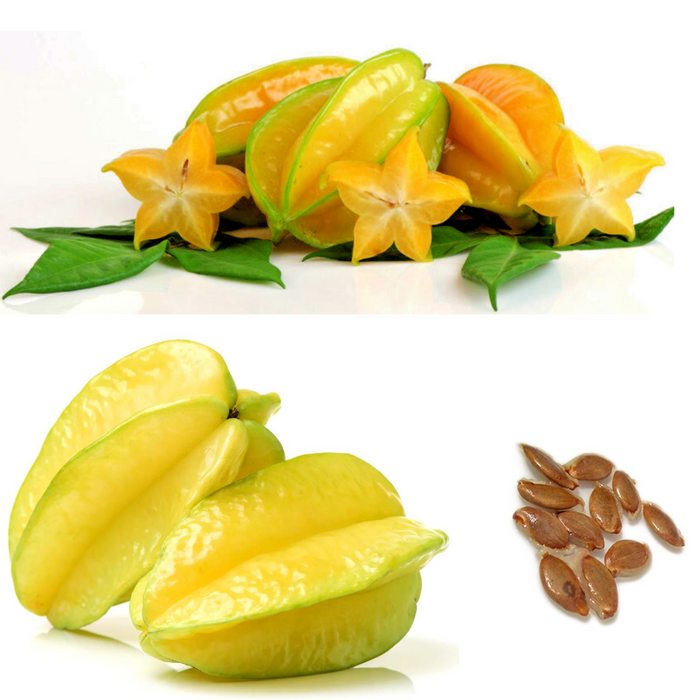 Fruit Carambola (Star Fruit)