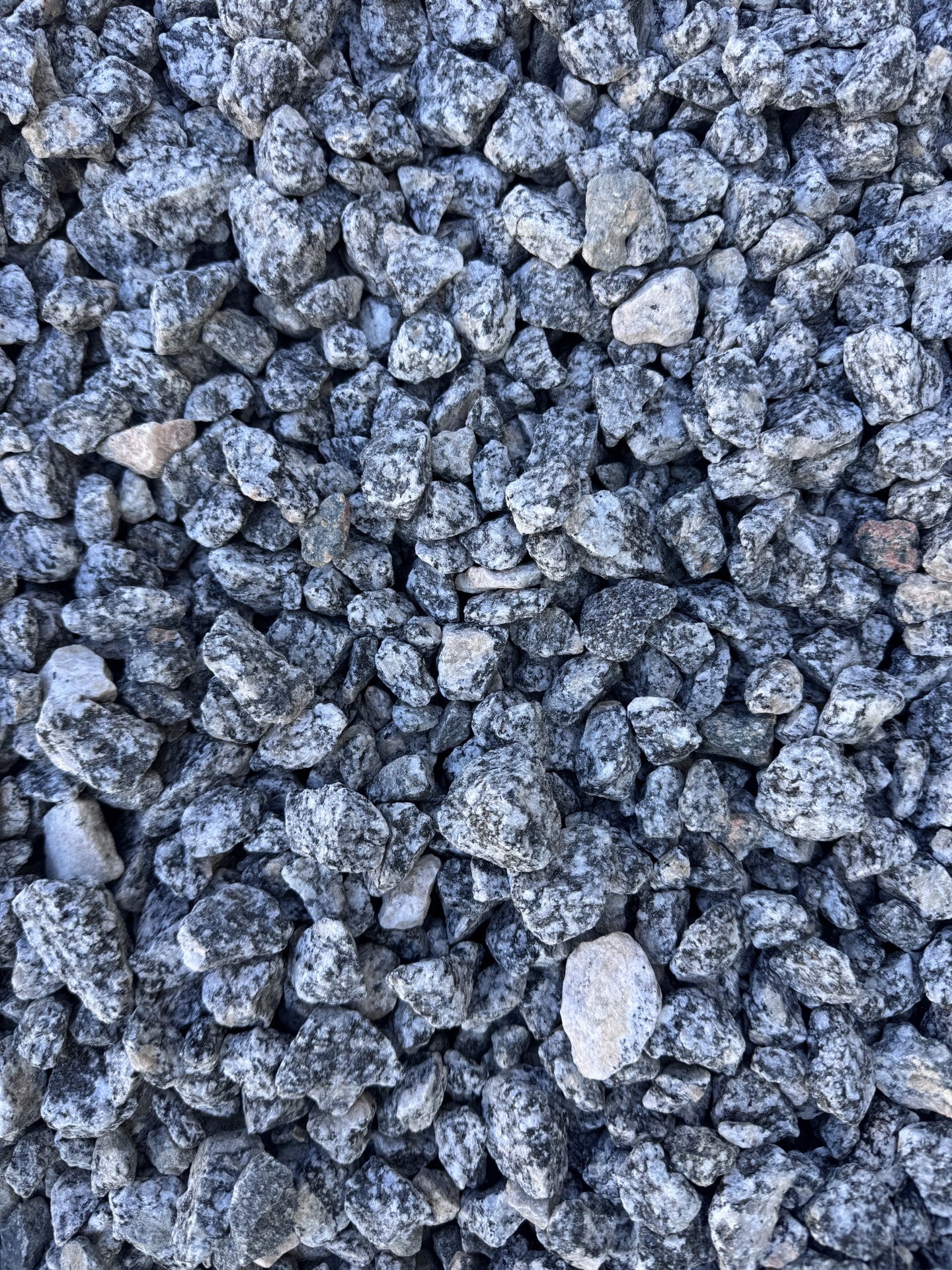 【最安値】NEIGHBORHOOD SALT & PEPPER Bulk 3/8 - 1/2