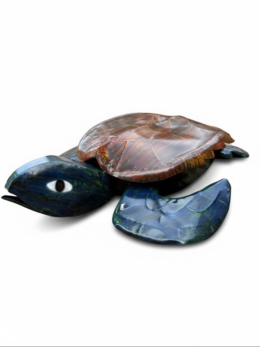 Big Leatherback Turtle