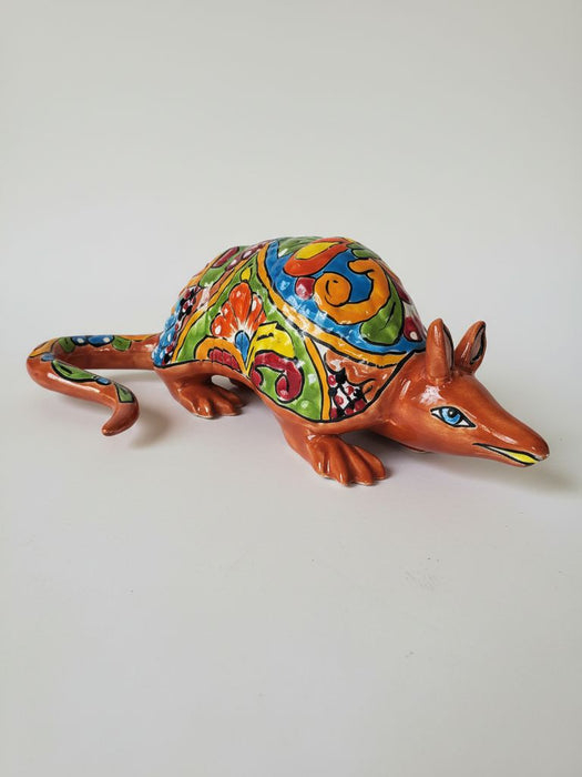 Colorful Armadillo