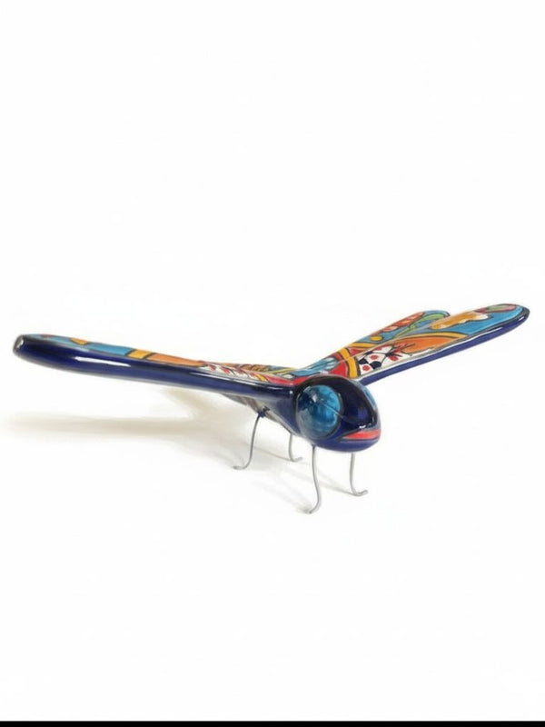 Colorful Dragonfly