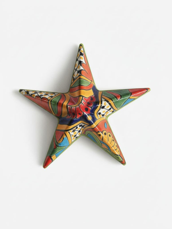 Colorful Star Fish