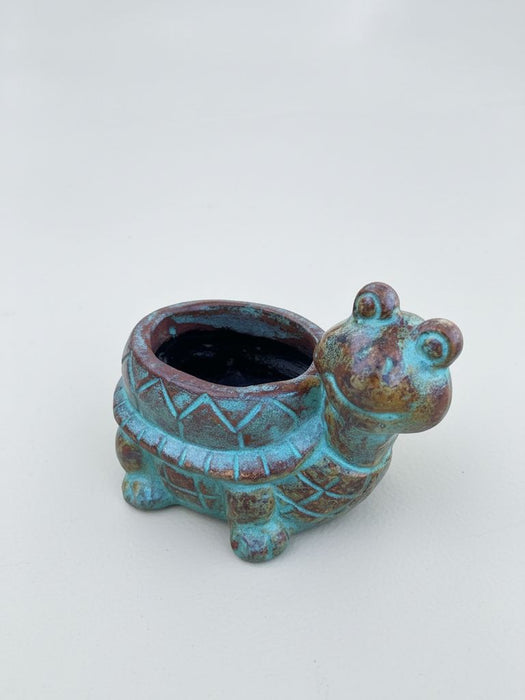 Large Turtle with Sideways Head