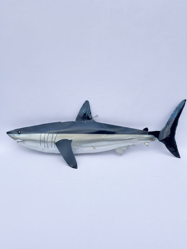 Great White Shark