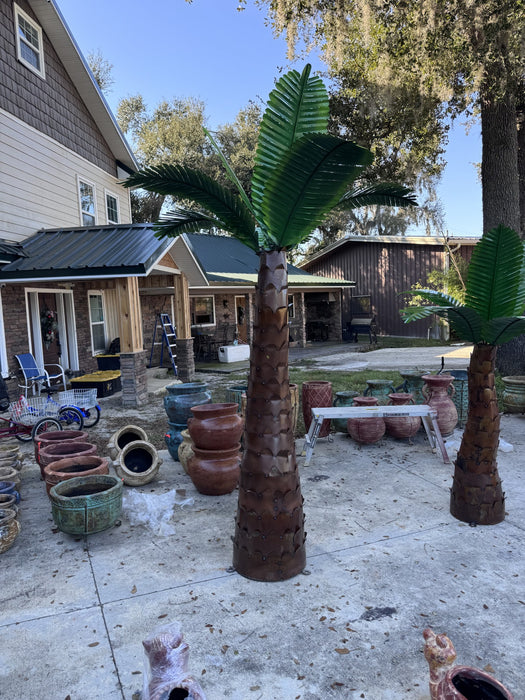 Big Palm Tree