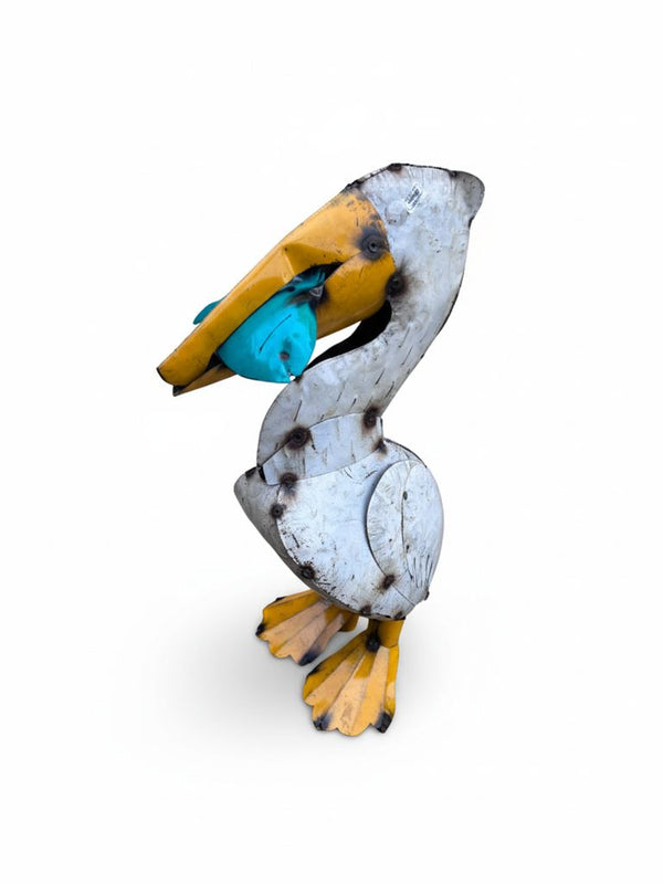 Pelican