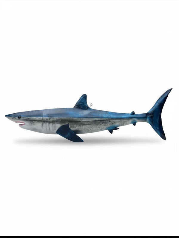 Shark