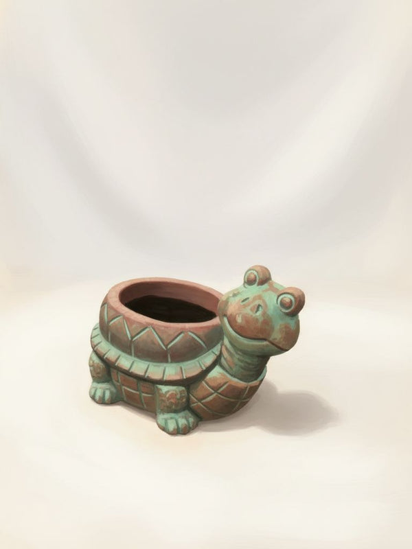 Medium Turtle With Sideways Head