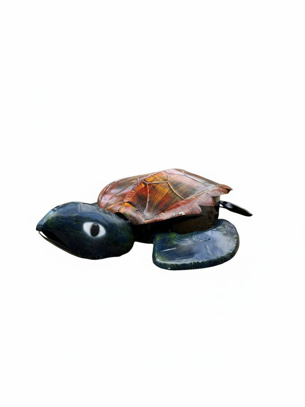 Small Leatherback Turtle